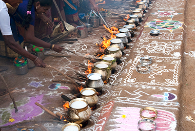 Gente reuniéndose para Pongal