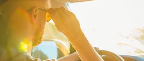 Driver putting on sunglasses in a car brightly lit by sunshine.